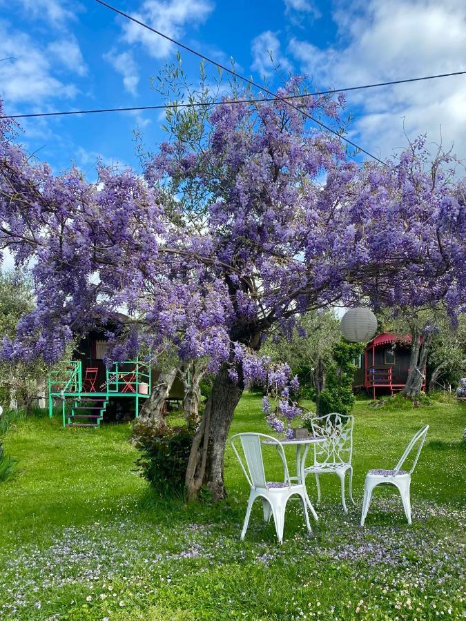 Azienda Agricola Della Mezzaluna Stiava Kültér fotó