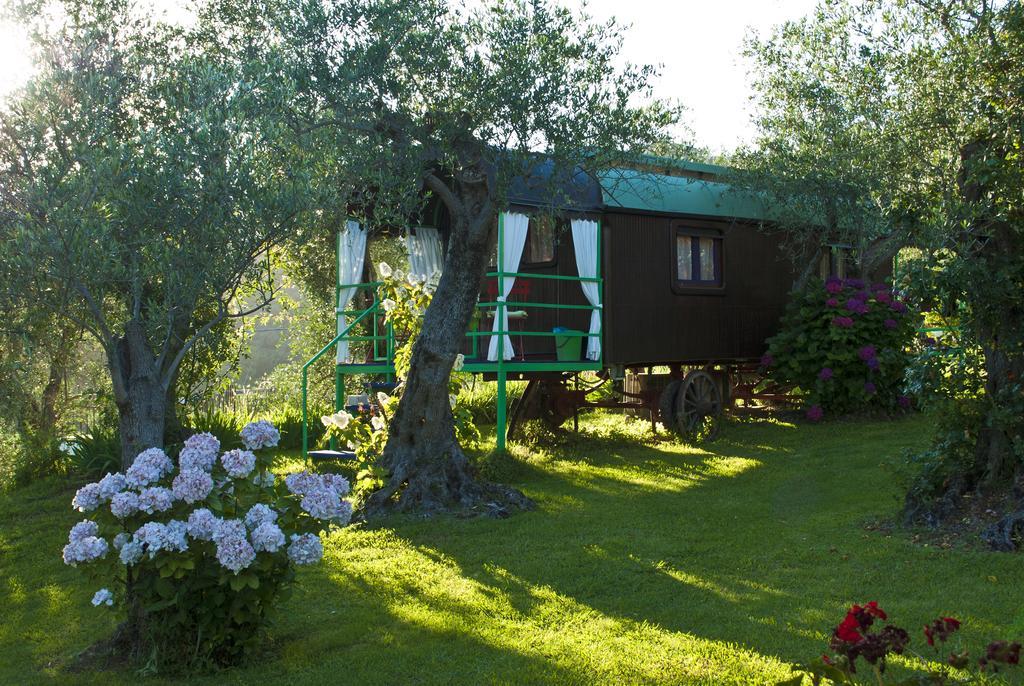Azienda Agricola Della Mezzaluna Stiava Kültér fotó